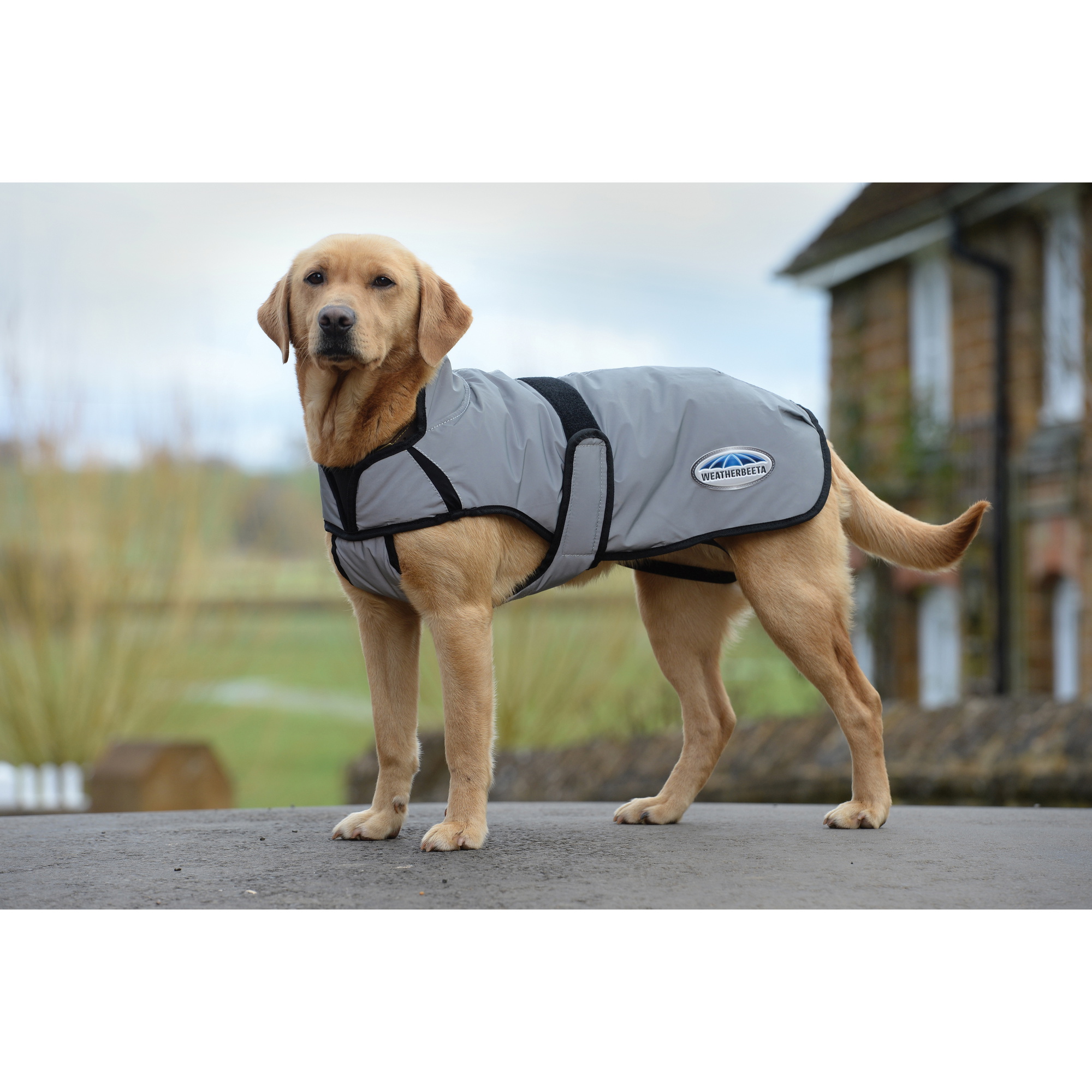 Weatherbeeta Comfitec Reflektierender Hundemantel - Silber